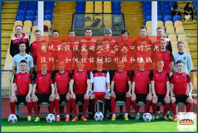老玩家谈谈爱游戏平台入口的实用技巧，如何让你轻松升级和赚钱