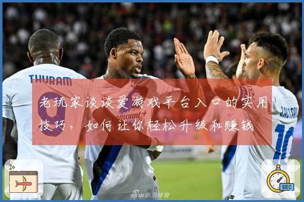 老玩家谈谈爱游戏平台入口的实用技巧，如何让你轻松升级和赚钱