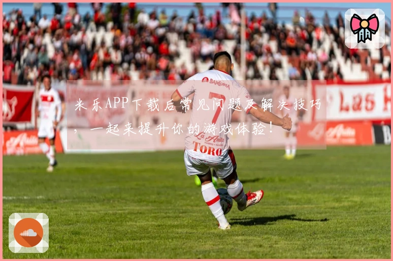 米乐APP下载后常见问题及解决技巧，一起来提升你的游戏体验！
